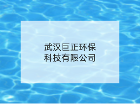 武汉巨正环保科技有限公司