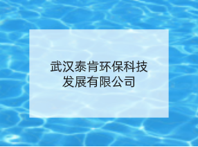 武汉泰肯环保科技发展有限公司